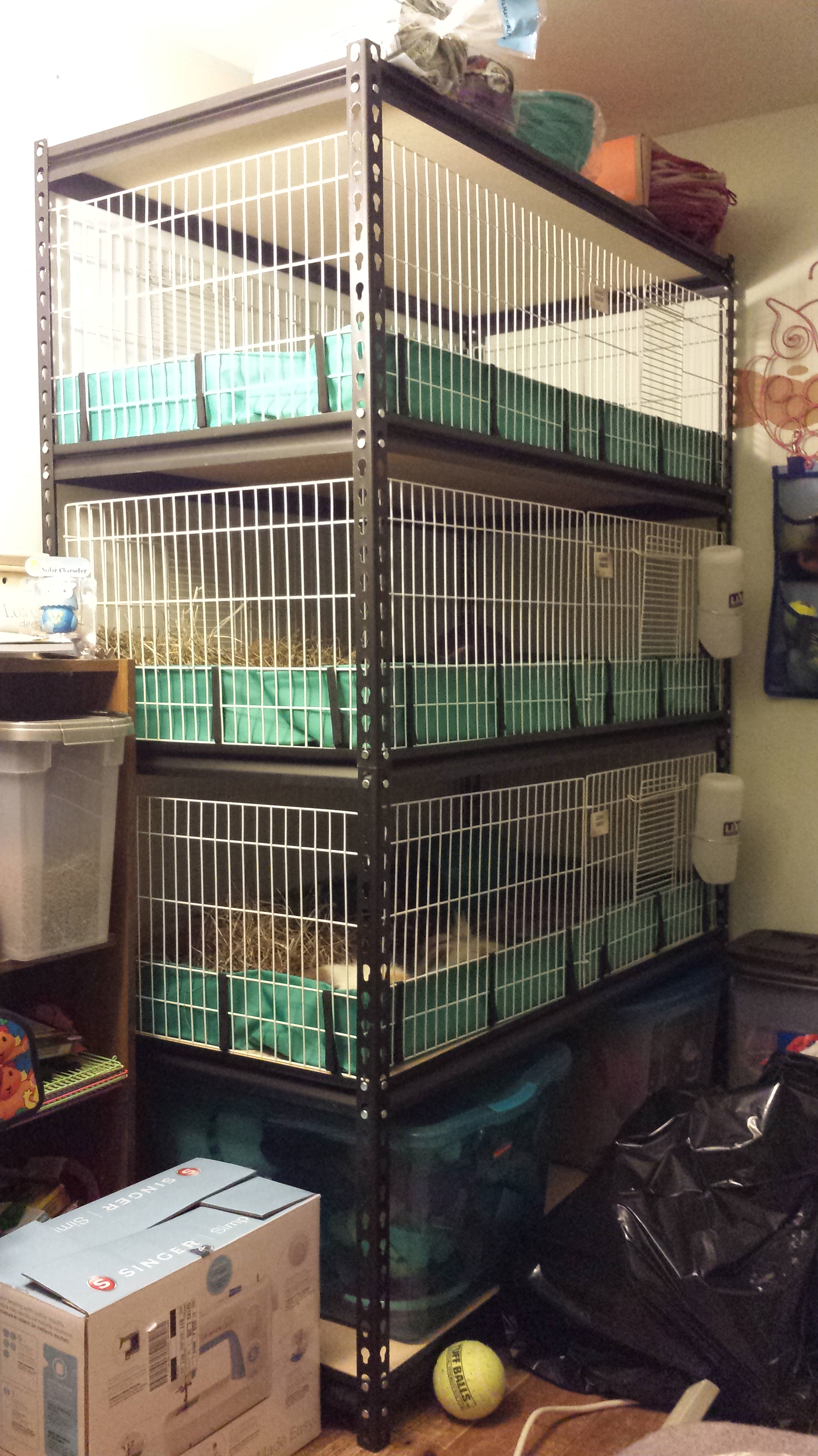 guinea pig cage shelf